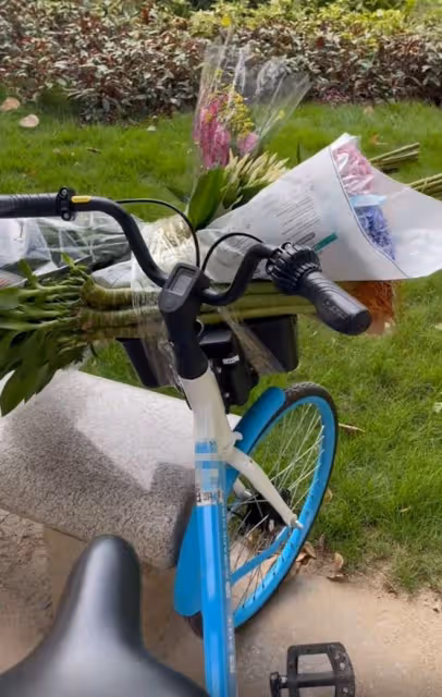 港星黃麗梅暫居廣州陪老母!騎單車去市場買花接地氣,60歲仍未婚