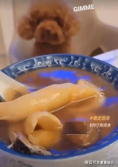 郭嘉文吃一碗面放4個名貴鮑魚，生活奢華自由還很幸福