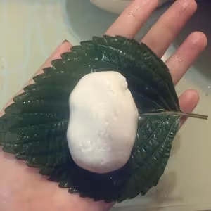 蘇子葉乾糧（東北特色美食）