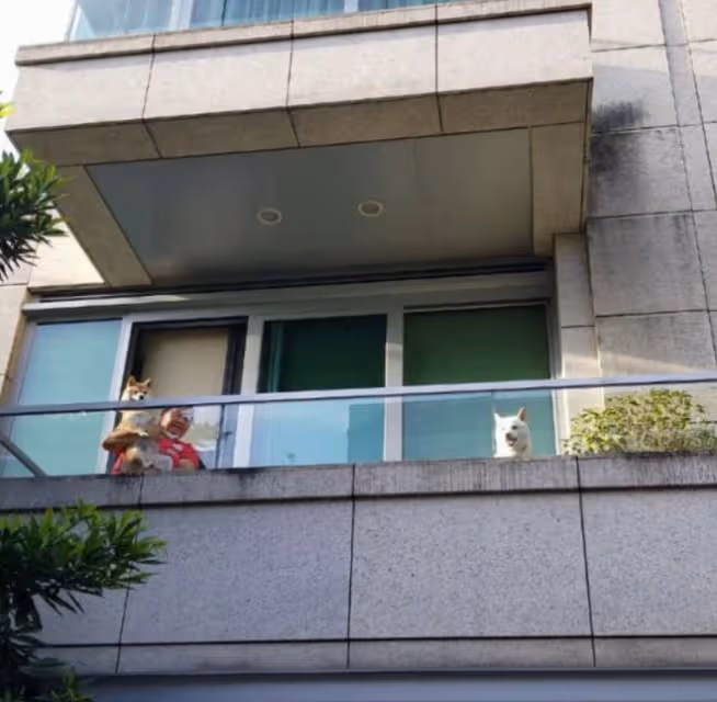 呂方小16歲富婆妻子曬娃!2歲女兒太可愛像58歲爸,三層別墅曝光