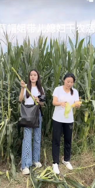 草帽姐與老公現身婚姻登記處,高調曬結婚證,疑似未婚先孕惹爭議