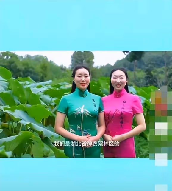 楊姠策放飛自我，請來美女為神農架代言，網友：不如於修華