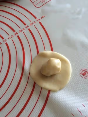榨菜鮮肉月餅