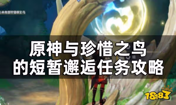原神與珍惜之鳥的短暫邂逅任務攻略 與珍惜之鳥的短暫邂逅怎麼觸發