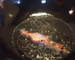 茄汁大蝦