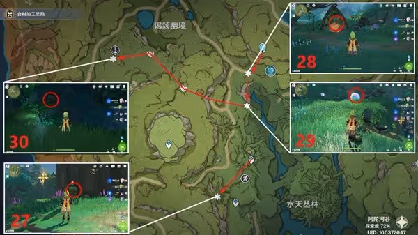 《原神》3.0須彌雨林區域奇饋寶箱收集指南