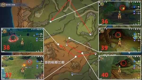 《原神》3.0須彌雨林區域奇饋寶箱收集指南