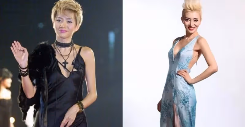 連劉德華都落淚！女工人為整成梅艷芳「整形10餘次」撈金上百萬　被名利沖昏頭腦「歌迷不勝唏噓」