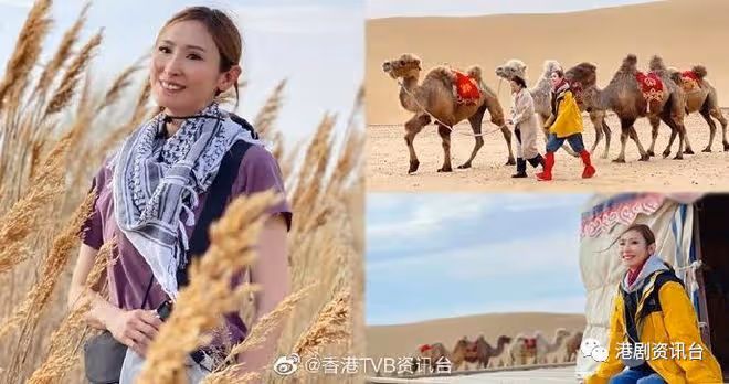 無窮之路II|陳貝兒近距離接觸野生象寶寶驚喜無限