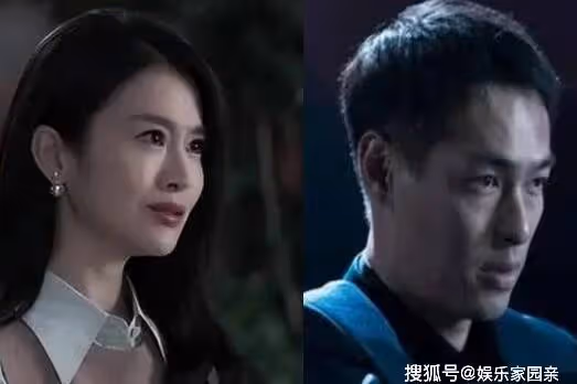 《罰罪》嚴國華是什麼身份？紀念的真實身份是什麼？結局如何