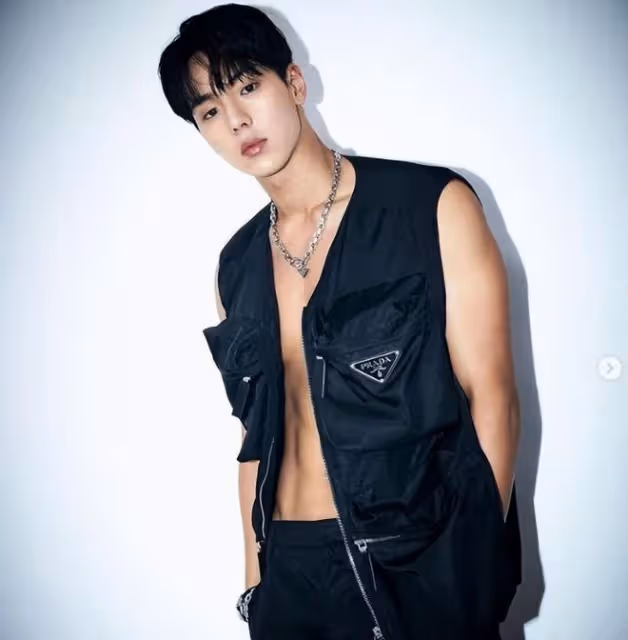 擁有最強視覺身材的韓星TOP10,2PM俊昊、BTS柾國上榜