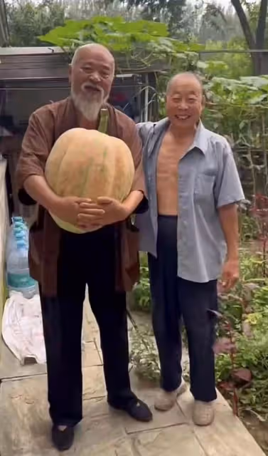67歲李琦北京獨棟小院養老,不拉上衣袒露肚皮,老態龍鍾仍要跳繩