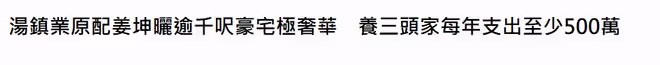 曝湯鎮業養三家6娃年花400萬!混血前妻生活優渥,身材苗條似少女