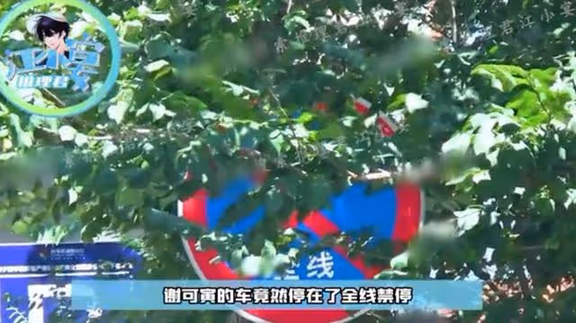 25歲女星無視交通規則被罵!禁停路段爬出車窗,穿性感弔帶凹造型