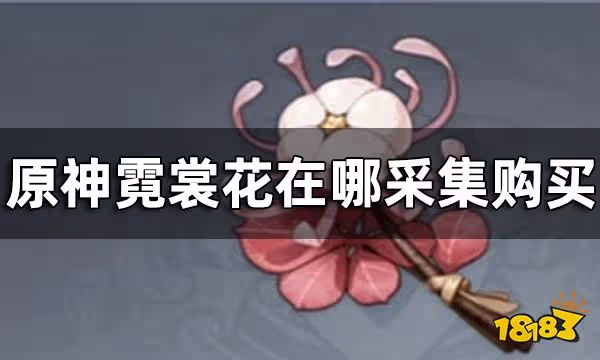 原神霓裳花分布圖一覽 霓裳花在哪採集購買