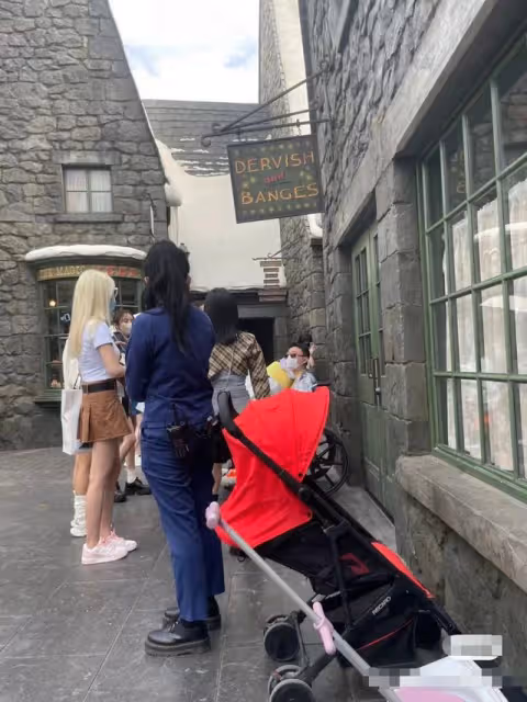 王思聰坐輪椅現身!走累了專人推車逛樂園,一手抱一美女艷福不淺