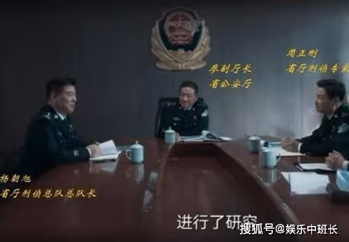 《罰罪》各人物級別介紹，嚴國華、肖振邦、李伯東職務是什麼