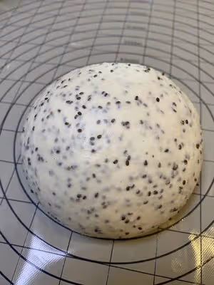 奇亞籽青提乳酪歐包，無糖高纖健身必備
