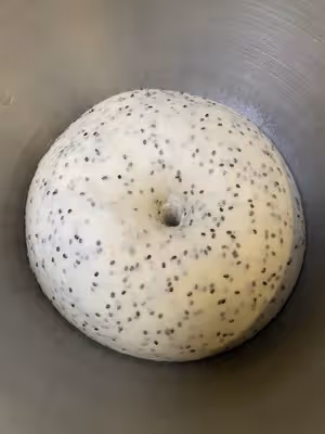 奇亞籽青提乳酪歐包，無糖高纖健身必備