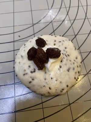 奇亞籽青提乳酪歐包，無糖高纖健身必備