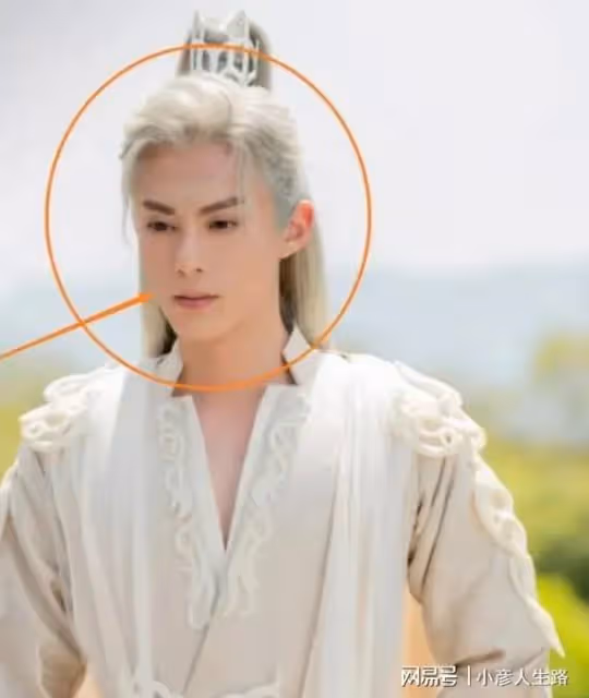 曾被眾嘲的「古偶醜男」王鶴棣，現卻成顏值天花板，斬獲觀眾的心