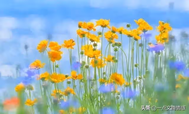 丈夫車禍牽出婚外情,妻子放棄救治,公公:把你房子賣掉