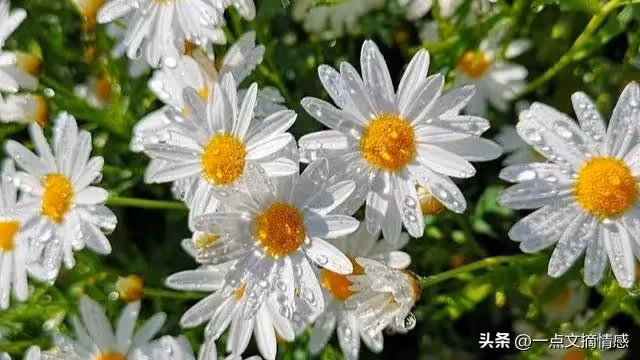 婚房寫的是婆婆名字,女子無聲地反抗,令婆家苦不堪言