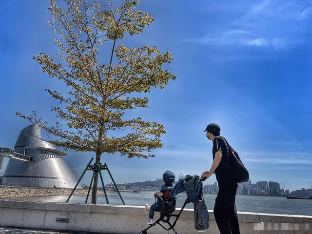 44歲王陽罕見曬娃,2歲兒子反戴帽子姿勢帥氣,軟萌可愛神似父親