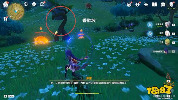 原神須彌塗鴉箭頭標記解謎攻略 須彌地上的塗鴉標記是用來幹嘛的