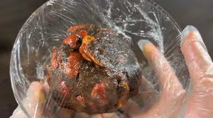 粒粒紅棗月餅/水晶棗肉月餅