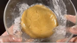 粒粒紅棗月餅/水晶棗肉月餅