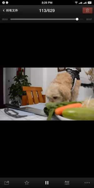 韓式石鍋拌飯，不好吃你打我！比外面好吃還簡單