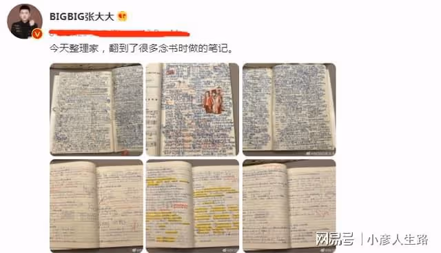 隱形學霸？張大大學歷曝光：本科雙學位，復旦研究生，門薩會員