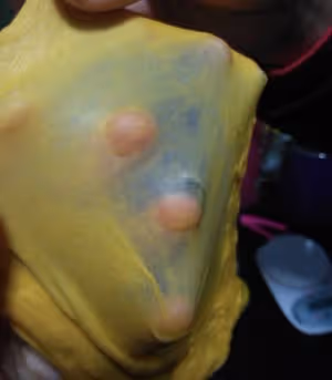 一次性南瓜奶酪排包
