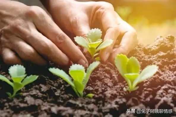 73歲大媽：花錢請了個44歲的男保姆，我還得反過來伺候他，惱火