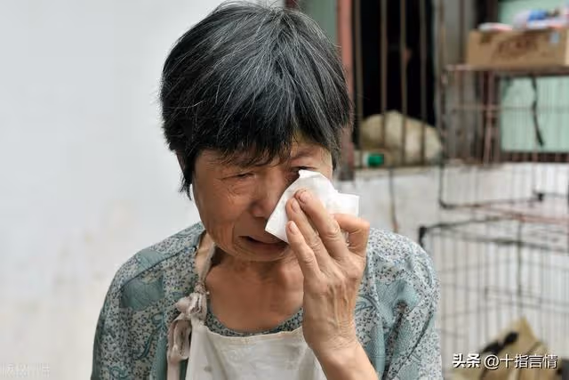 讓我媽出去找工作,你媽在家享受?憑什麼?妻子:你拿什麼跟我比