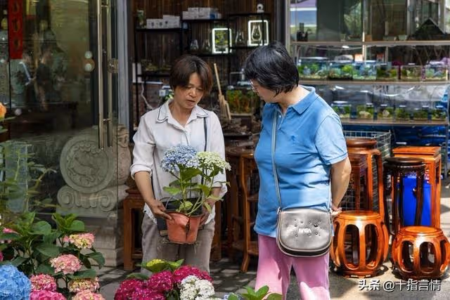 讓我媽出去找工作,你媽在家享受?憑什麼?妻子:你拿什麼跟我比