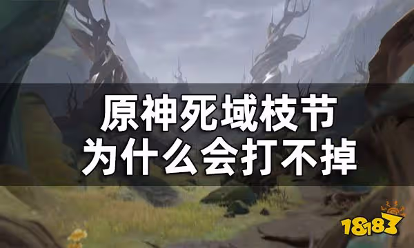 原神死域枝節打不掉怎麼辦 死域枝節為什麼會打不掉