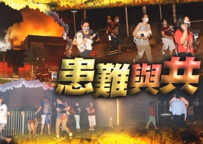 林青霞9億豪宅失火,將一屋名牌送人不心疼,卻不舍穿30年花褲