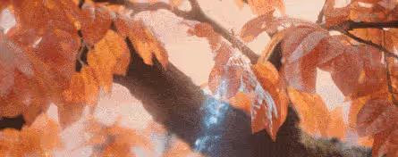 《蒼蘭決》解讀1:小蘭花為什麼要考神仙?是宇宙盡頭是測試編輯