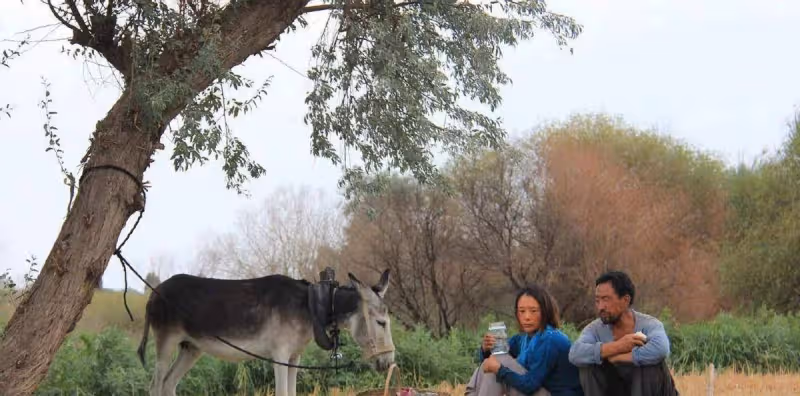 海清,很好
