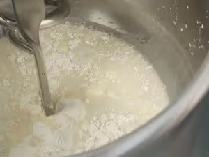 十種堅果&amp;果乾的軟歐包