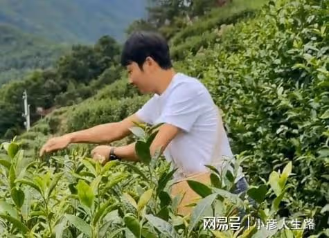余秀華列舉自身缺點,被贊「人間清醒」,楊櫧策轉行賣茶卻遭抵制