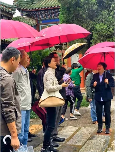 楊瀾在食堂吃簡餐 駝背下垂體態儼然老人