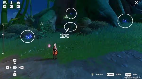 《原神》須彌珍貴寶箱收集指南