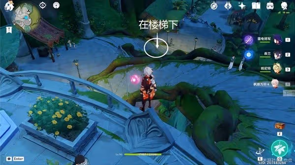 《原神》須彌珍貴寶箱收集指南