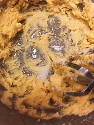 香噴噴脆啵啵的羅馬盾