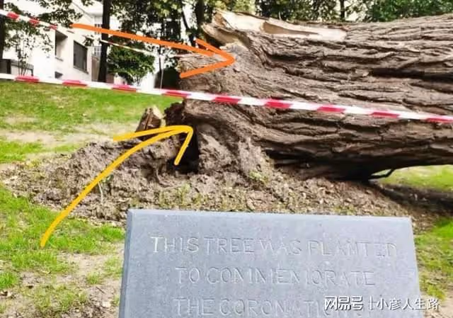 3個細節早預示女王人生落幕?天空兩道彩虹,樹木枯死,感染新冠
