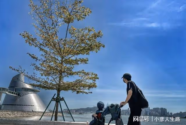 演員王陽深夜罕見曬娃營業,兒子模樣帥氣穿搭時尚,好有星范兒