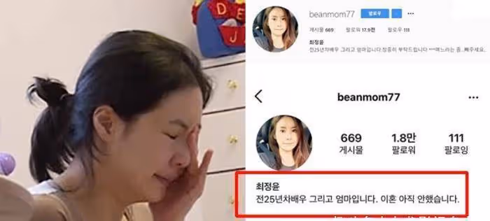國外女星崔貞允官宣分手,告別十年豪門婚姻,喪偶式婚姻的悲哀!